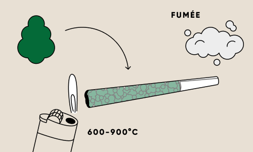 Illustration d’un joint fait de fleurs séchées en combustion entre 600 et 900 degrés Celsius et créant de la fumée. 