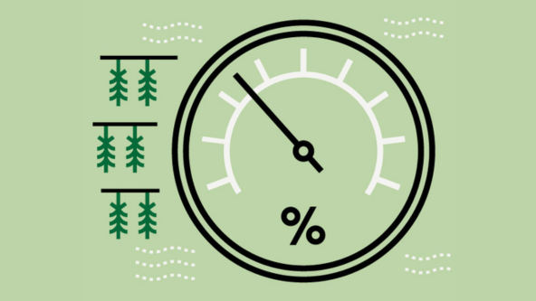 Illustration d’un humidimètre pour monitorer le taux d’humidité du cannabis séché.