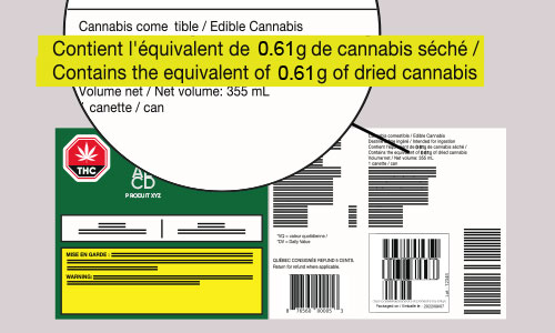 Serre de cannabis Serre de cannabis