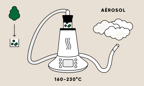 Illustration d’un vaporisateur de cannabis, montrant des fleurs séchées placés dans une chambre chauffée entre 160 et 230 degrés Celsius, produisant de l’aérosol à inhaler. 