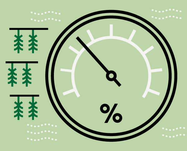 Illustration d’un humidimètre monitorant le taux d’humidité de plants de cannabis en processus de séchage.